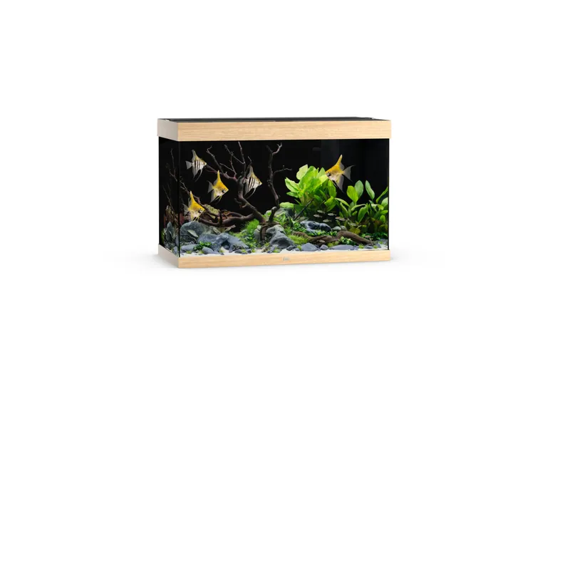 Ausverkauf JUWEL Rio 290 LED helles Holz Aquarium
